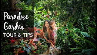 Small tropical garden 20sqft makeover with 10 Pro Gardening Tips [upl. by Airtemed]