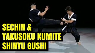 Uechi Ryu Sechin amp Sechin Yakusoku Kumite  Shinyu Gushi SUBs en Español [upl. by Annuaerb]