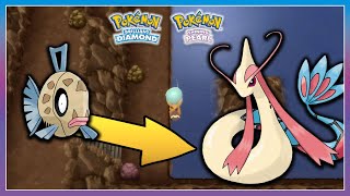 Pokémon BDSP  How To Get Feebas amp Evolve It [upl. by Ainotal]