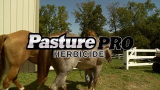 How To Use Gordon’s® Pasture Pro® Herbicide [upl. by Nyroc]