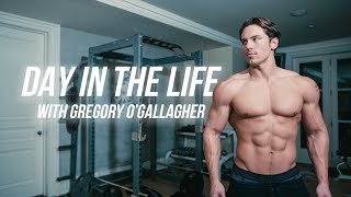 How To Get to 6 Body Fat  Warrior Shredding Day in the Life [upl. by Anila]