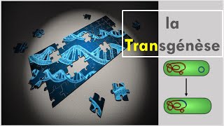 Nanoparticle Gene Delivery [upl. by Inej]