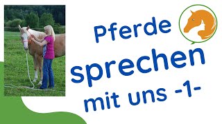 Pferdesprache lernen Teil 1 [upl. by Ohce]