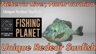 Fishing Planet  Unique Redear Sunfish  Neherrin River North Carolina [upl. by Coady]