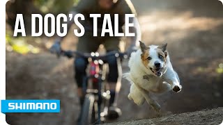 A Dogs Tale  SHIMANO [upl. by Aslehc]