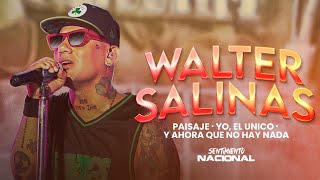 Paisaje  Y ahora que no hay nada  Yo el único  Especial Sentimiento Nacional  Walter Salinas [upl. by Ianaj]