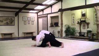 Suwari Waza Yokomen Uchi Ikkyo [upl. by Aitnic]