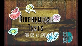 ALevel Biology  Biochemical Tests [upl. by Marron141]