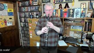 How To Get More Resonant Low Notes clarinetbasics clarinet clarinetlessons clarinetplayer [upl. by Sivraj53]