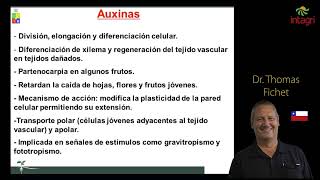 ¿Dónde actúan las auxinas [upl. by Clareta]