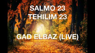 SALMO 23 GAD ELBAZ EN VIVO LYRICS ESPAÑOL FONETICA HEBREA [upl. by Chatav]