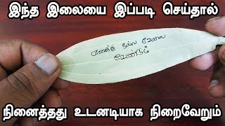 இந்த இலையை இப்படி செய்தால் நினைத்தது உடனடியாக நிறைவேறும்  VASIYAM  MANTHRIGAM  THANTHRIGAM [upl. by Otho54]