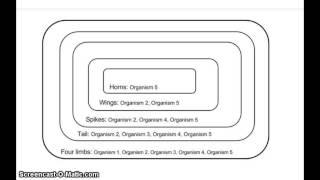 Build your own cladogram  BetterLesson [upl. by Melly]