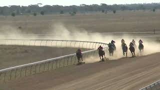 Blackall 20241019 Race 5 [upl. by Delisle]