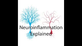 Neuroinflammation Explained [upl. by Amilah]