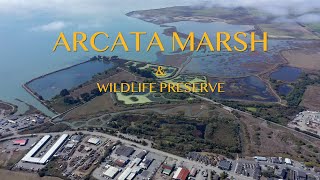 Arcata Marsh amp Wildlife Preserve  Aerial Views [upl. by Nigem]