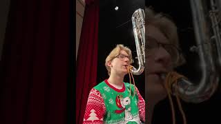 Sleigh ride  Leroy Anderson  Contrabass Clarinet perspective [upl. by Shannah]