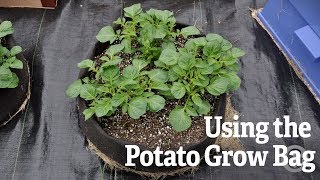 How to Use a Potato Grow Bag  Gardeners Supply [upl. by Rich]