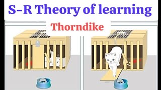 SR Theory of learning Thorndike in BEd  Trial and Error theory  learning and Development 🐱 🐟 [upl. by Dnalwor]