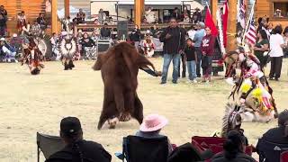 Men’s Traditional Muskowekwan Pow wow August 4 2024 [upl. by Jaime]