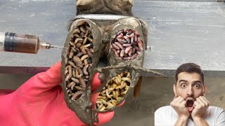 Professional Cow Hoof Trimming Cut Trim and Cleaning  Screw with Nails WAS STUCK IN cows hoof [upl. by Blader850]