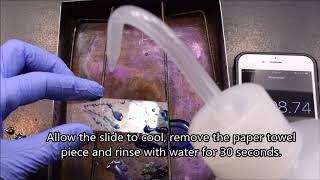 Spore Stain Procedure SchaefferFulton Method [upl. by Holt]