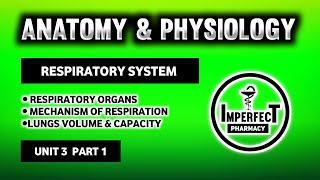 Respiratory System  Mechanism Of Respiration  Lungs Volume  Lungs Capacity  HAP  B Pharma [upl. by Eiramaliehs962]