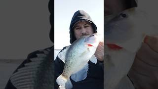 FIRST Fish of 2024 Winter Oklahoma CRAPPIE Fishing [upl. by Yrekcaz]