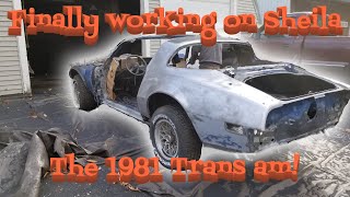 Finally working on Sheila the 1981 Trans Am [upl. by Nipha]