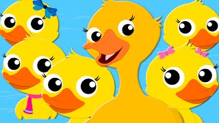 Five Little Ducks  Nursery Rhymes For Children And Kids Songs  Kids TV [upl. by Ligriv]