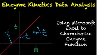 Enzyme Kinetics Data Analysis [upl. by Sedicla]