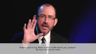 Dr Baruch Korman John Chapter 2 Part 1 [upl. by Litsyrk735]