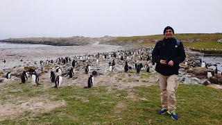 Celebrity Eclipse Antarctica Cruise day 10 Falkland Islands Islas Malvinas [upl. by Fauman970]