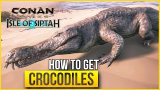 How to get Crocodiles  Isle of Siptah  Conan Exiles [upl. by Aisorbma155]