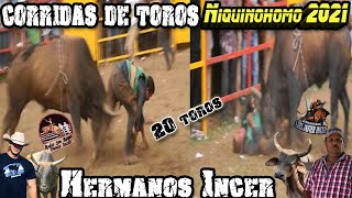 Corridas De Toros Niquinohomo 2021Ganaderia Hermanos Incer [upl. by Adey]