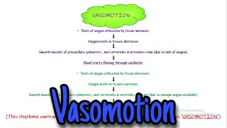 Vasomotion Chapter 16 part 3 Guyton and Hall Physiology [upl. by Skiba]