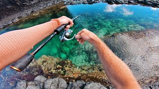 Amazing Fishing in Crystal Clear Rock Pools [upl. by Noed]