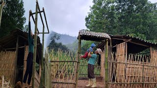 19 year old single mother  builds bamboo fence around house  makes gateTriệuMùiMùi [upl. by Batruk]