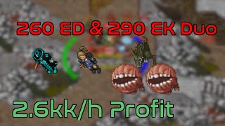 tibia  Duo EKED  Lower Roshamuul  26kk150 200  270  tibia guide [upl. by Annair]