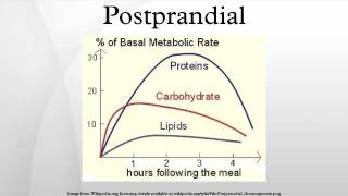 Postprandial [upl. by Akimad]