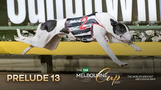 2021 TAB Melbourne Cup Prelude 13  Koblenz [upl. by Nyberg889]