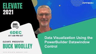 Data Visualization Using the PowerBuilder Datawindow Control [upl. by Hoye]