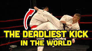 The Most Deadliest Kick in Karate Kyokushin Wheel Kick [upl. by Enedan]