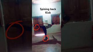 Spiningback  Kickingclass3 taekwondofullcourse [upl. by Inahs]