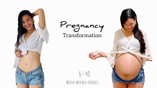 PREGNANCY TRANSFORMATION  Week by week belly progress [upl. by Devy]