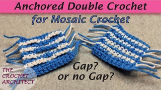 18  Anchored Double Crochet Stitch for Mosaic Crochet [upl. by Bobbye]