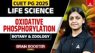 Oxidative Phosphorylation for CUET PG Life Science Botany and Zoology 2025 [upl. by Carlton204]