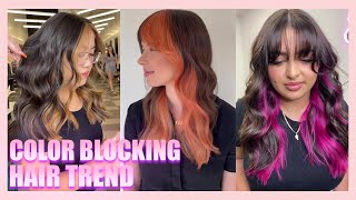 COLOR BLOCKING HAIR TREND MONEY PIECES  POPS OF COLOR [upl. by Nivel]