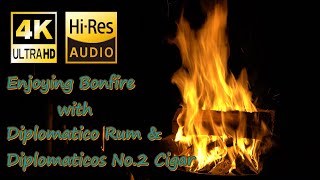 Soothing Fire Crackle with Diplomaticos No 2 ＆ Diplomatico Reserva Exclusiva 【Bonfire】【Cigar】【ASMR】 [upl. by Cleave41]