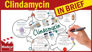 Clindamycin  Cleocin  What is Clindamycin Used For Dosage Side Effects amp Precautions [upl. by Brownley297]